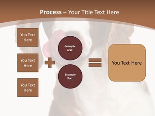 Hunter Intelligent Furry PowerPoint Template
