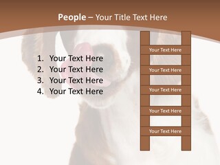 Hunter Intelligent Furry PowerPoint Template