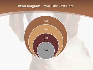 Hunter Intelligent Furry PowerPoint Template