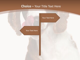 Hunter Intelligent Furry PowerPoint Template
