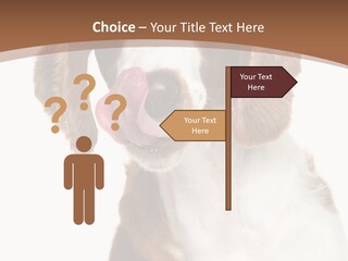 Hunter Intelligent Furry PowerPoint Template