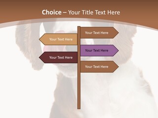 Hunter Intelligent Furry PowerPoint Template