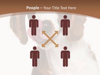 Hunter Intelligent Furry PowerPoint Template