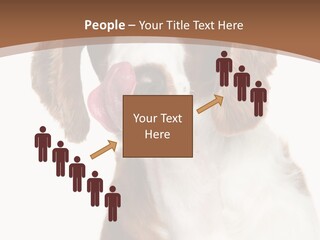 Hunter Intelligent Furry PowerPoint Template