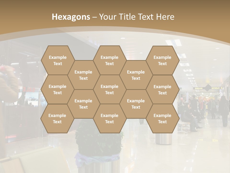 Industry Shopper Model PowerPoint Template
