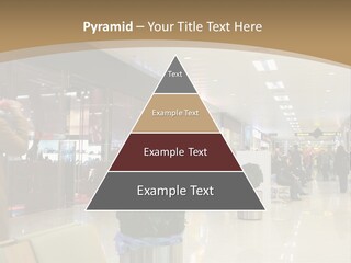 Industry Shopper Model PowerPoint Template