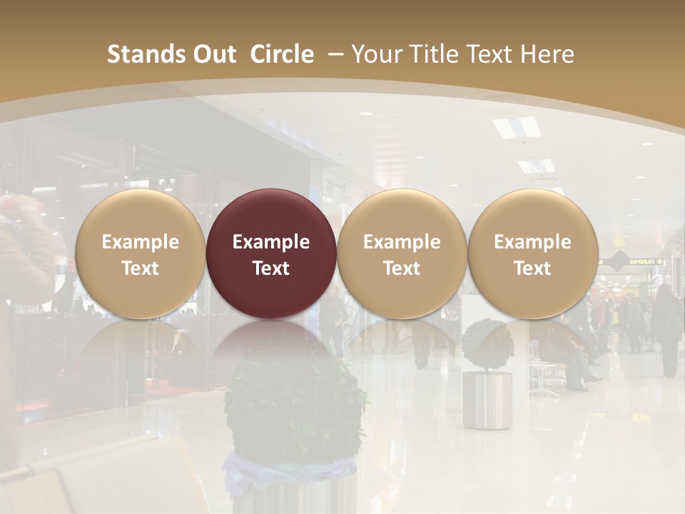Industry Shopper Model PowerPoint Template