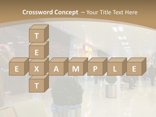 Industry Shopper Model PowerPoint Template