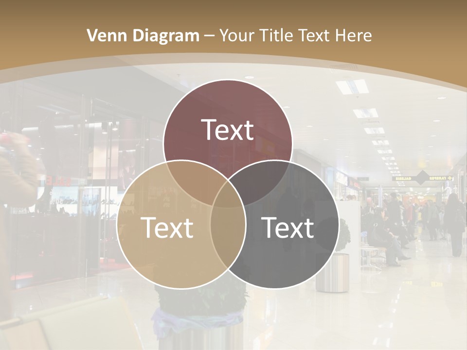 Industry Shopper Model PowerPoint Template
