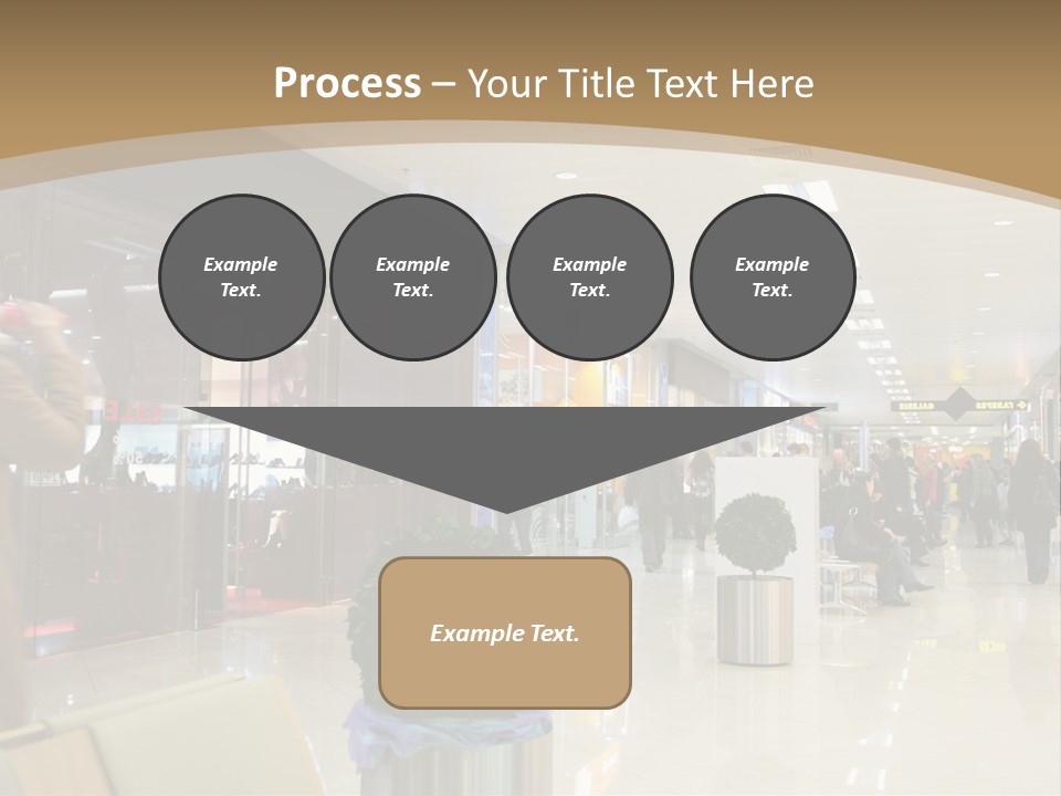 Industry Shopper Model PowerPoint Template