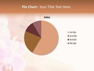 Model Beautiful Luxury PowerPoint Template