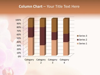 Model Beautiful Luxury PowerPoint Template