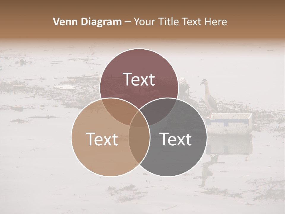 Dirty Sad Problem PowerPoint Template