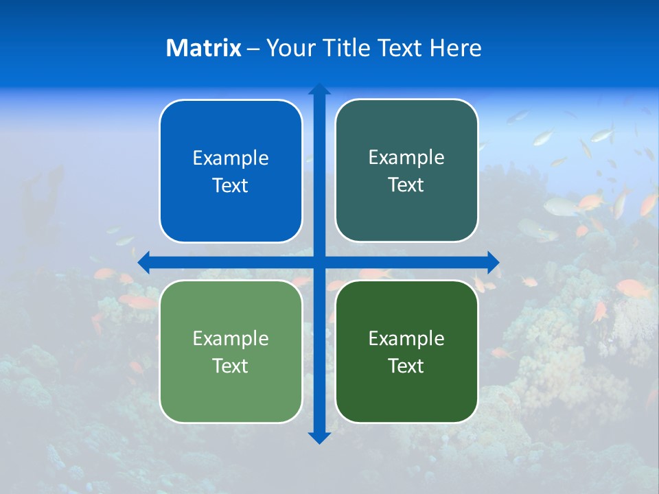 A Group Of People Swimming Over A Coral Reef PowerPoint Template