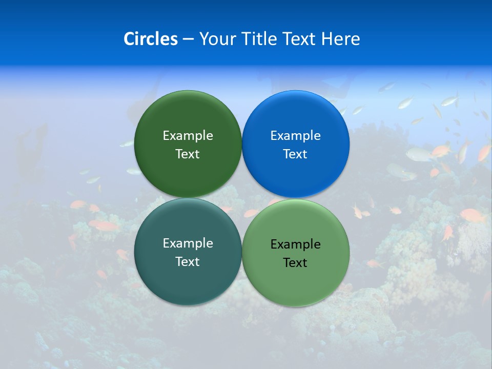A Group Of People Swimming Over A Coral Reef PowerPoint Template