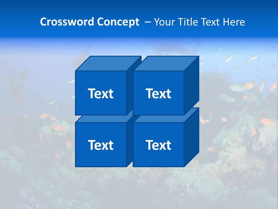 A Group Of People Swimming Over A Coral Reef PowerPoint Template