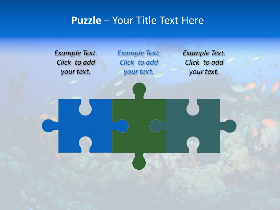 A Group Of People Swimming Over A Coral Reef PowerPoint Template