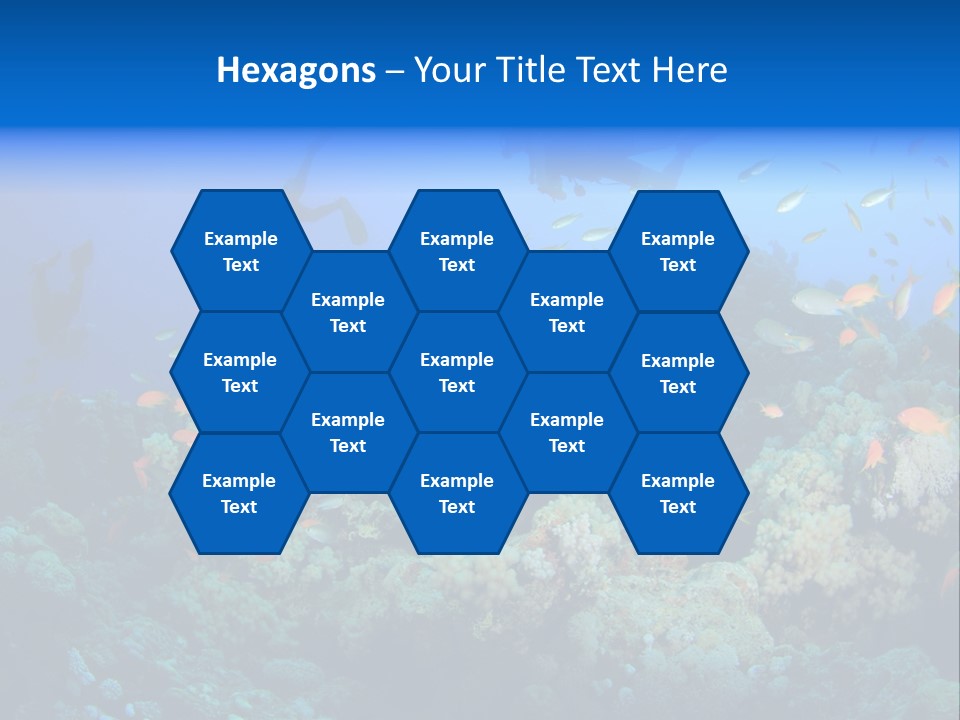 A Group Of People Swimming Over A Coral Reef PowerPoint Template