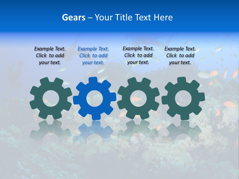 A Group Of People Swimming Over A Coral Reef PowerPoint Template