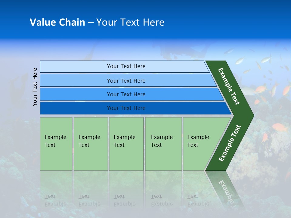 A Group Of People Swimming Over A Coral Reef PowerPoint Template