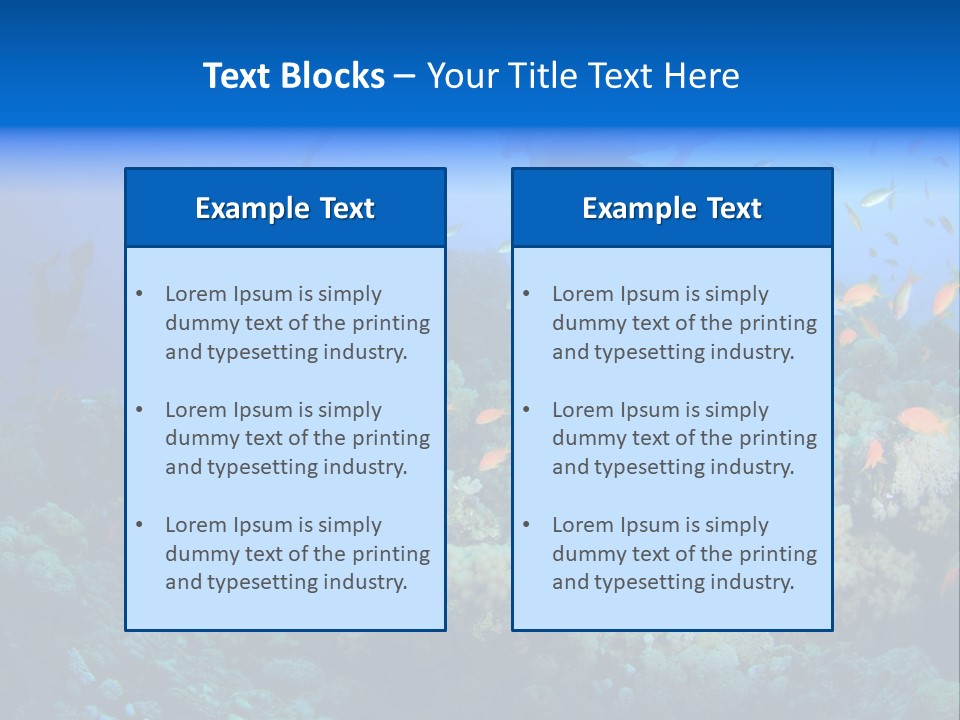 A Group Of People Swimming Over A Coral Reef PowerPoint Template