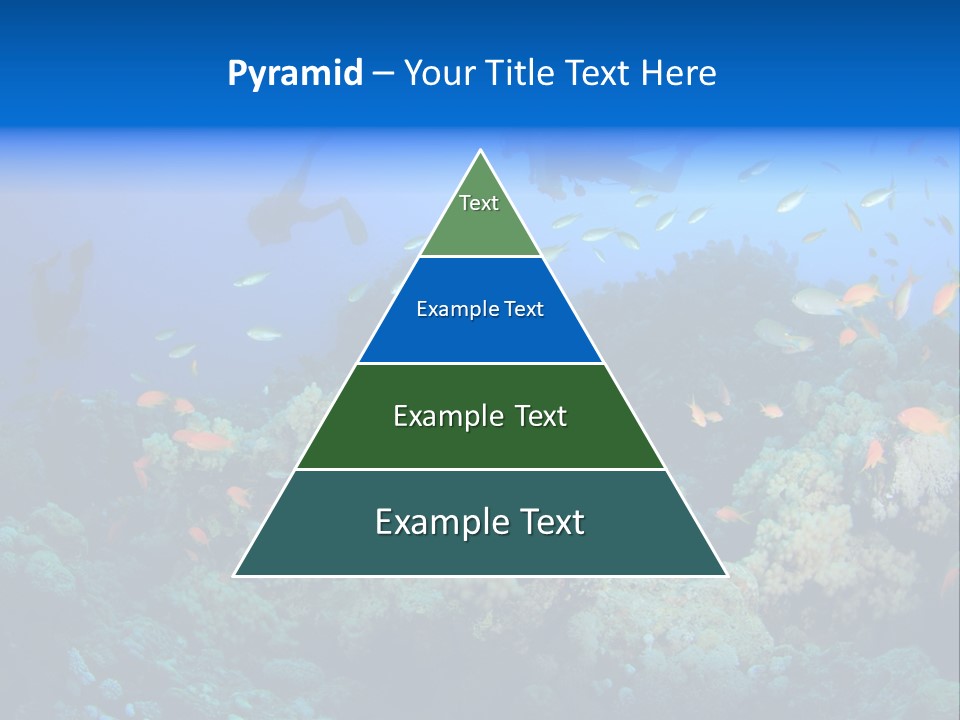 A Group Of People Swimming Over A Coral Reef PowerPoint Template