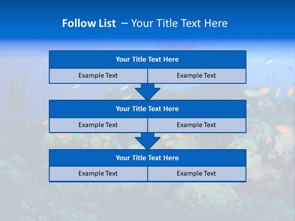 A Group Of People Swimming Over A Coral Reef PowerPoint Template