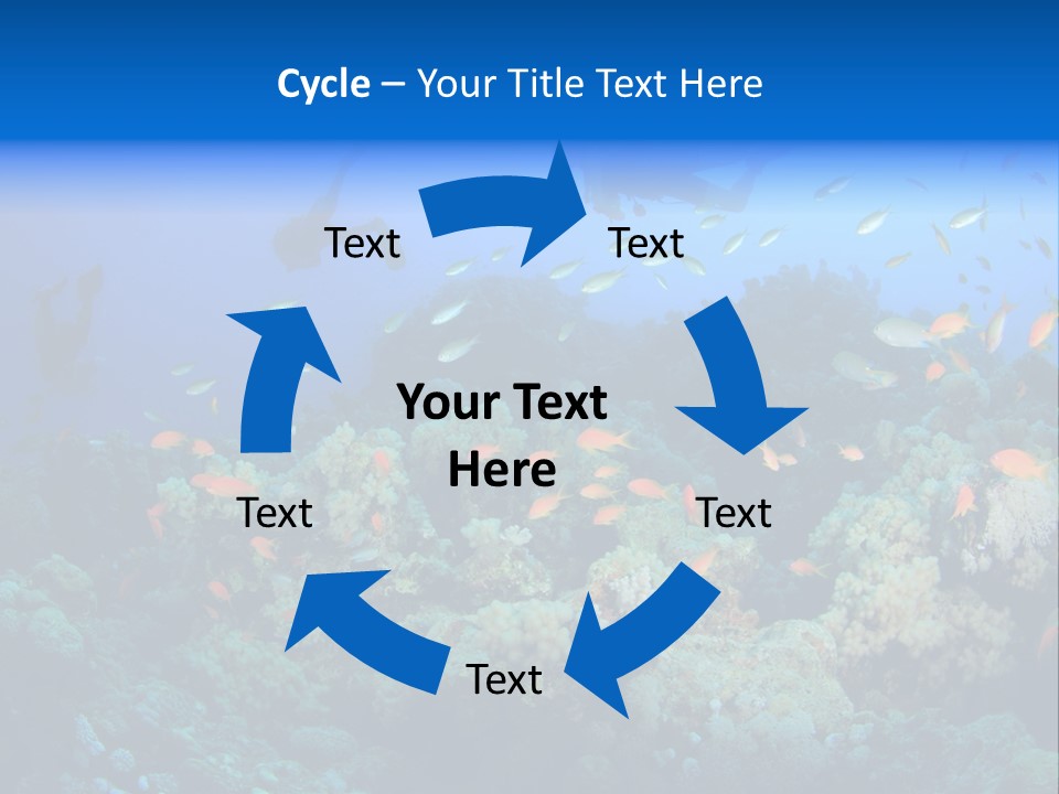 A Group Of People Swimming Over A Coral Reef PowerPoint Template