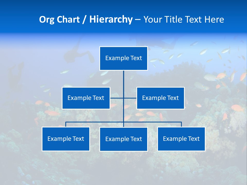 A Group Of People Swimming Over A Coral Reef PowerPoint Template