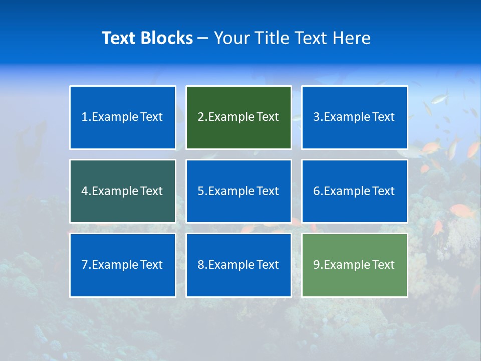 A Group Of People Swimming Over A Coral Reef PowerPoint Template