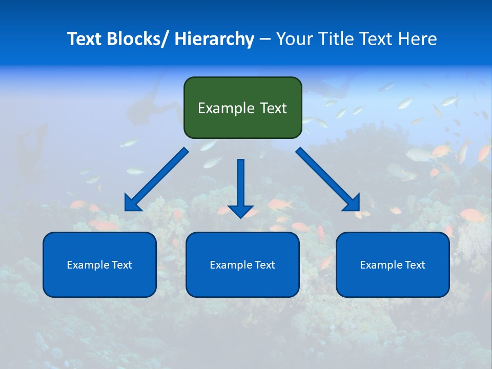 A Group Of People Swimming Over A Coral Reef PowerPoint Template