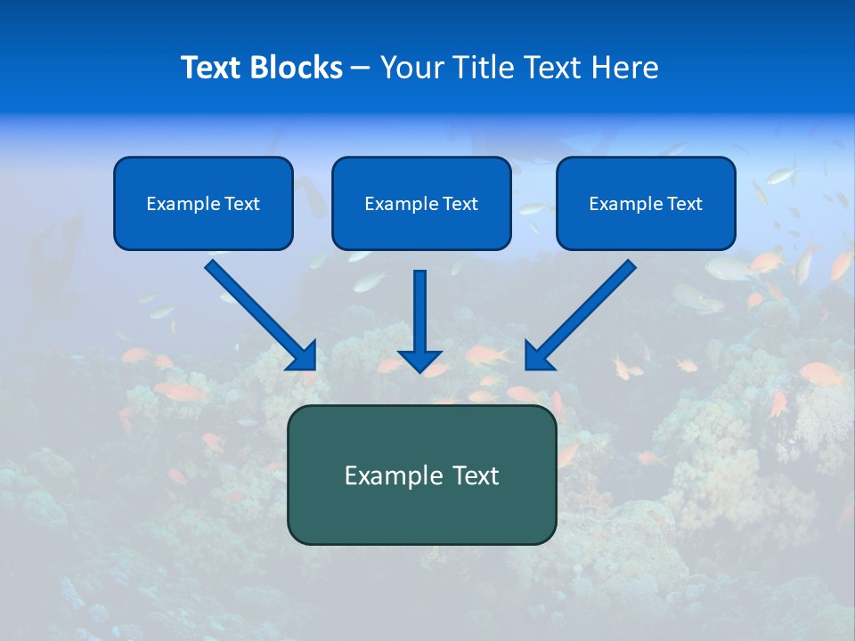 A Group Of People Swimming Over A Coral Reef PowerPoint Template