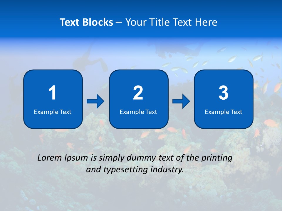 A Group Of People Swimming Over A Coral Reef PowerPoint Template