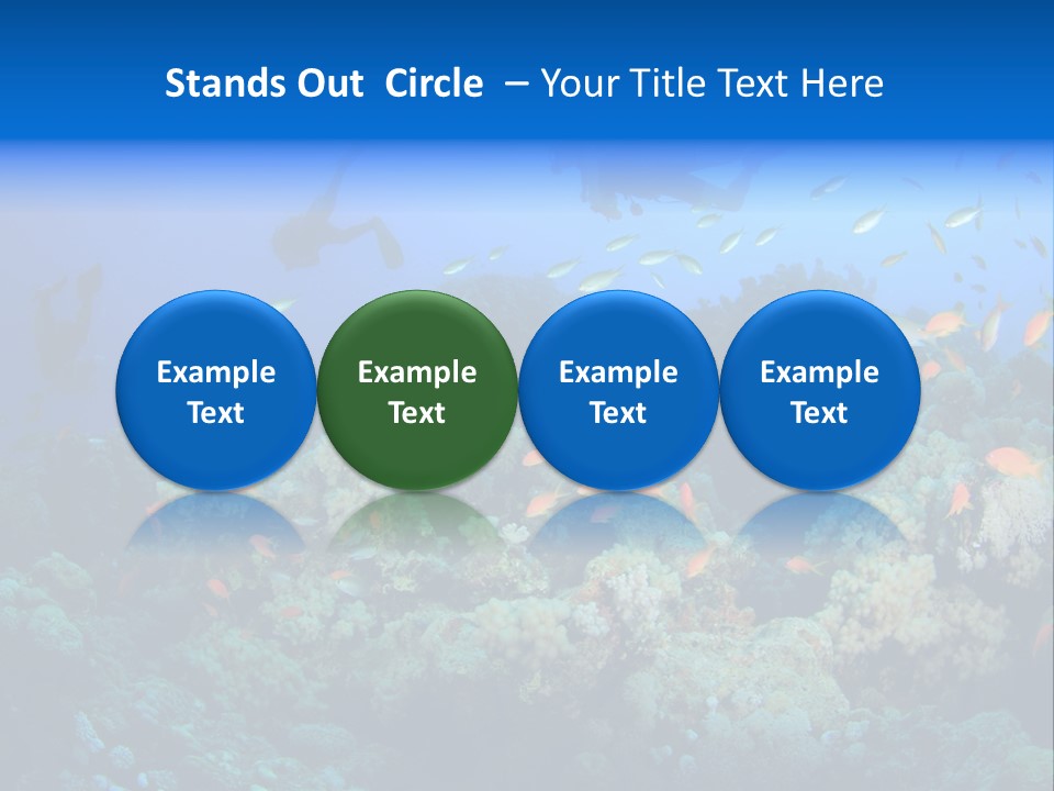 A Group Of People Swimming Over A Coral Reef PowerPoint Template