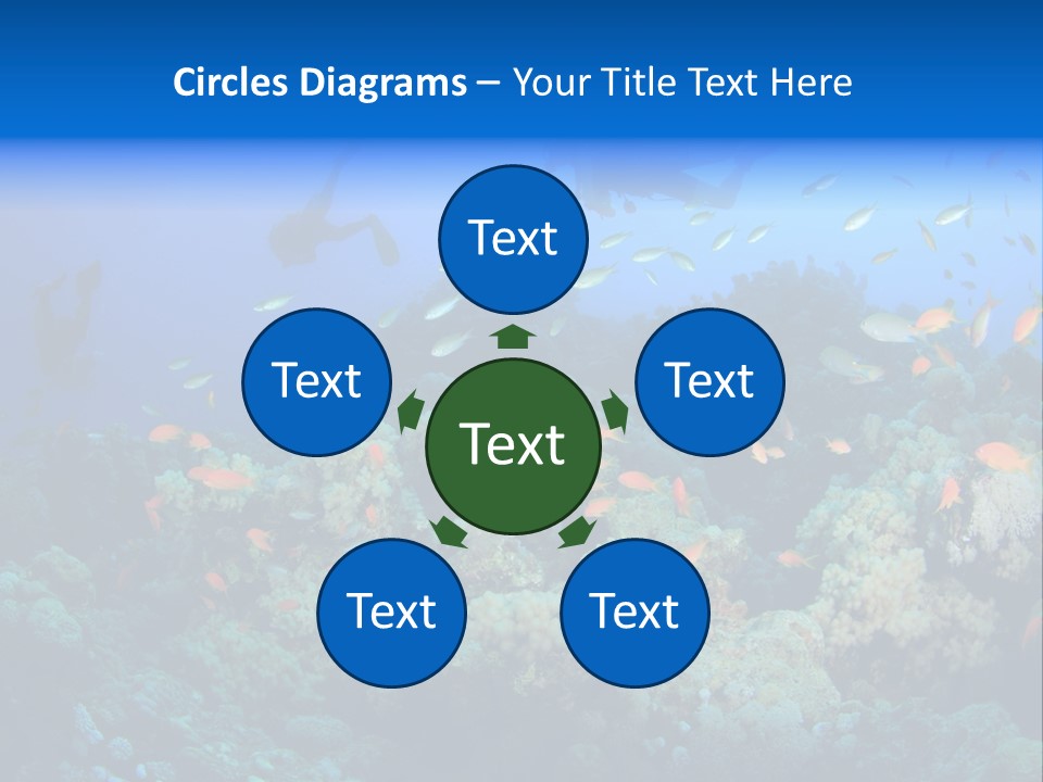 A Group Of People Swimming Over A Coral Reef PowerPoint Template