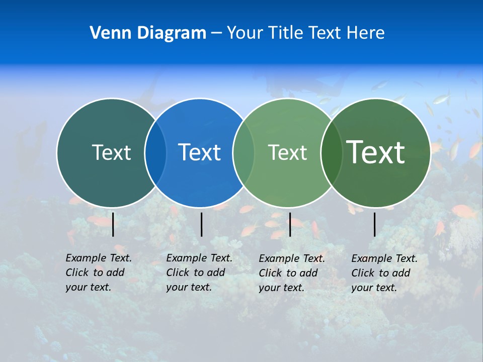 A Group Of People Swimming Over A Coral Reef PowerPoint Template