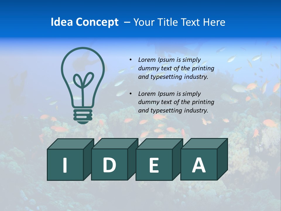 A Group Of People Swimming Over A Coral Reef PowerPoint Template