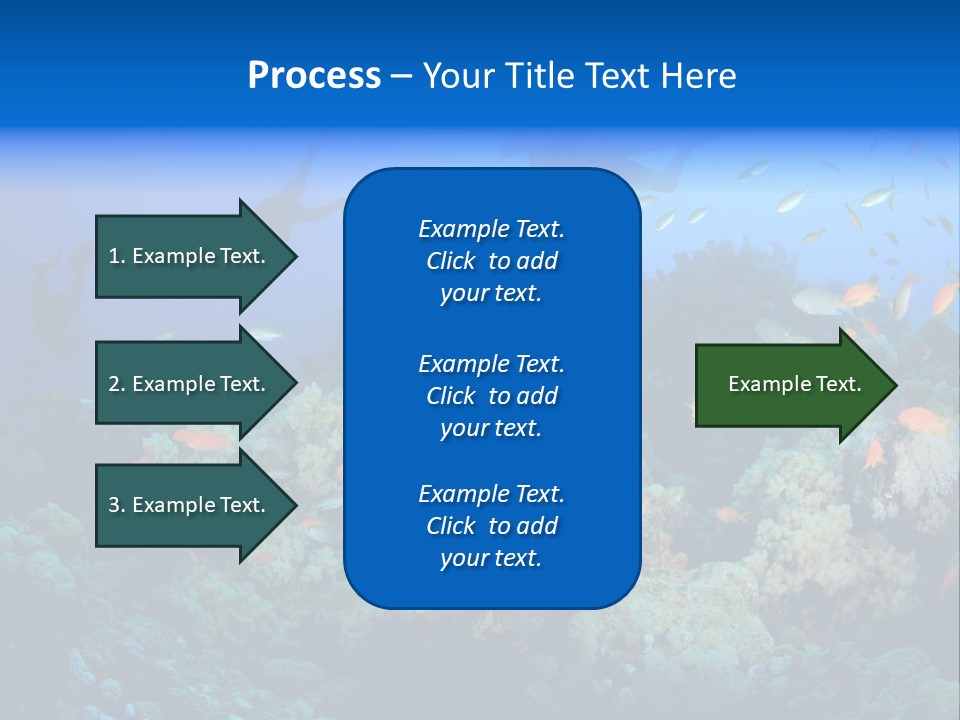 A Group Of People Swimming Over A Coral Reef PowerPoint Template