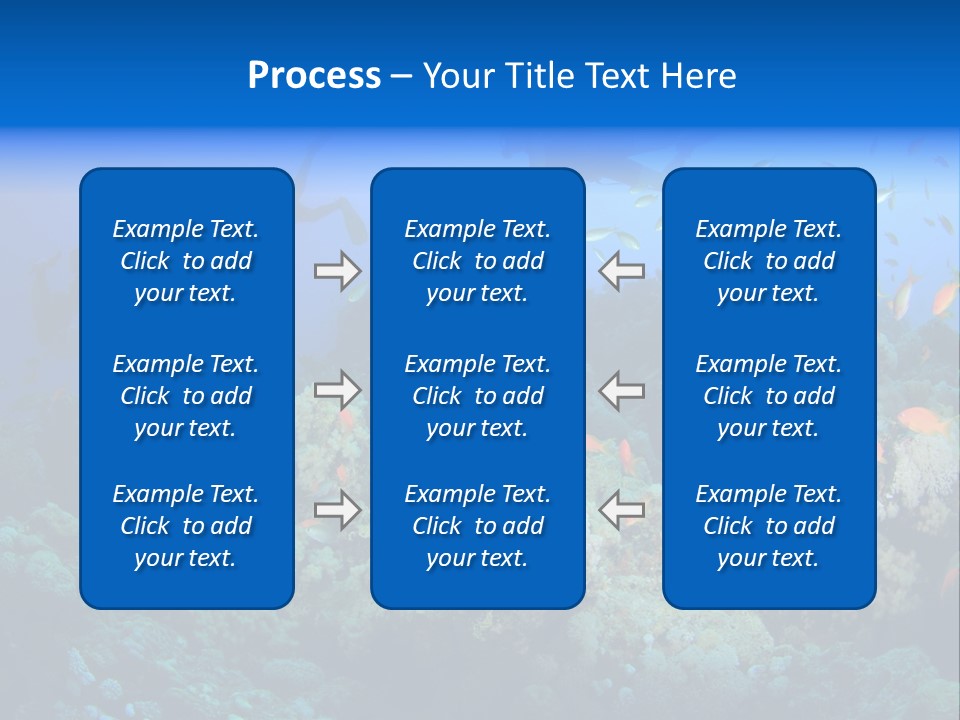 A Group Of People Swimming Over A Coral Reef PowerPoint Template