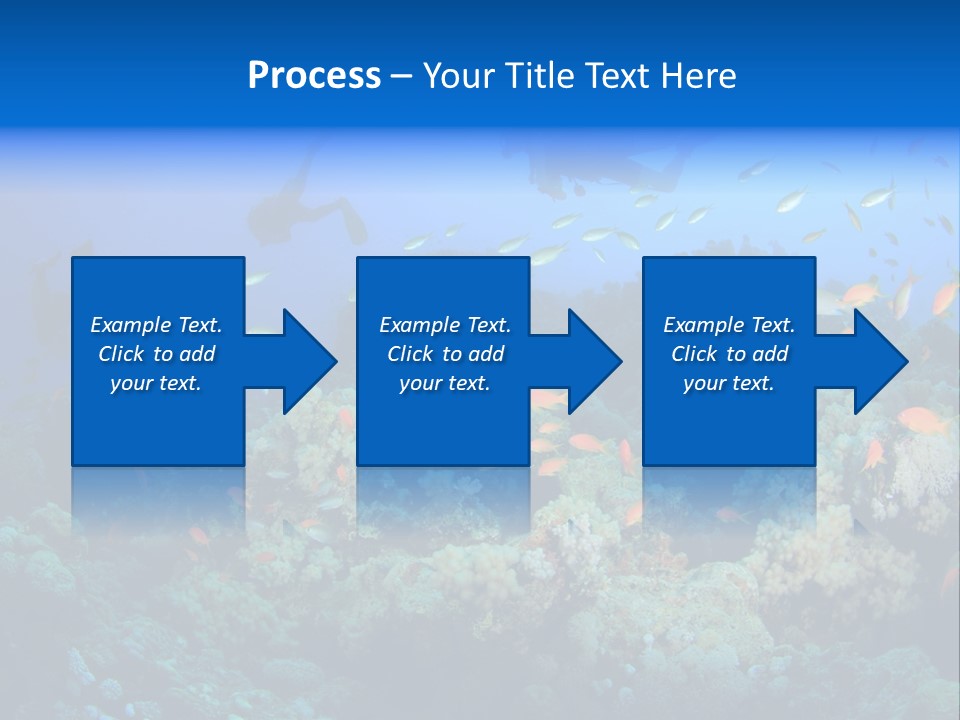 A Group Of People Swimming Over A Coral Reef PowerPoint Template