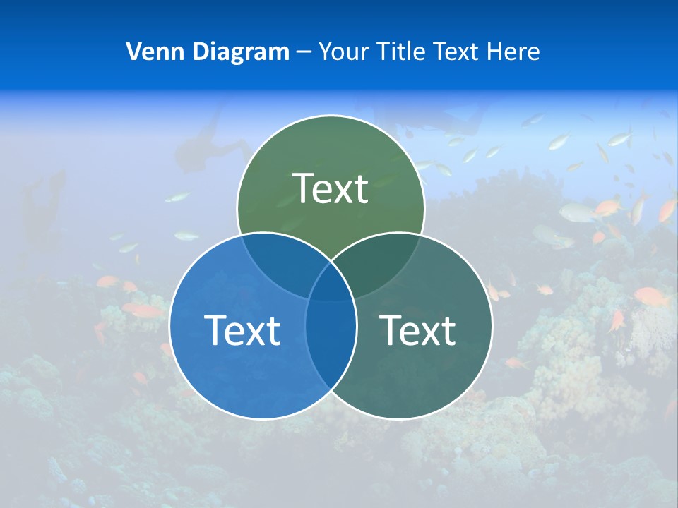 A Group Of People Swimming Over A Coral Reef PowerPoint Template