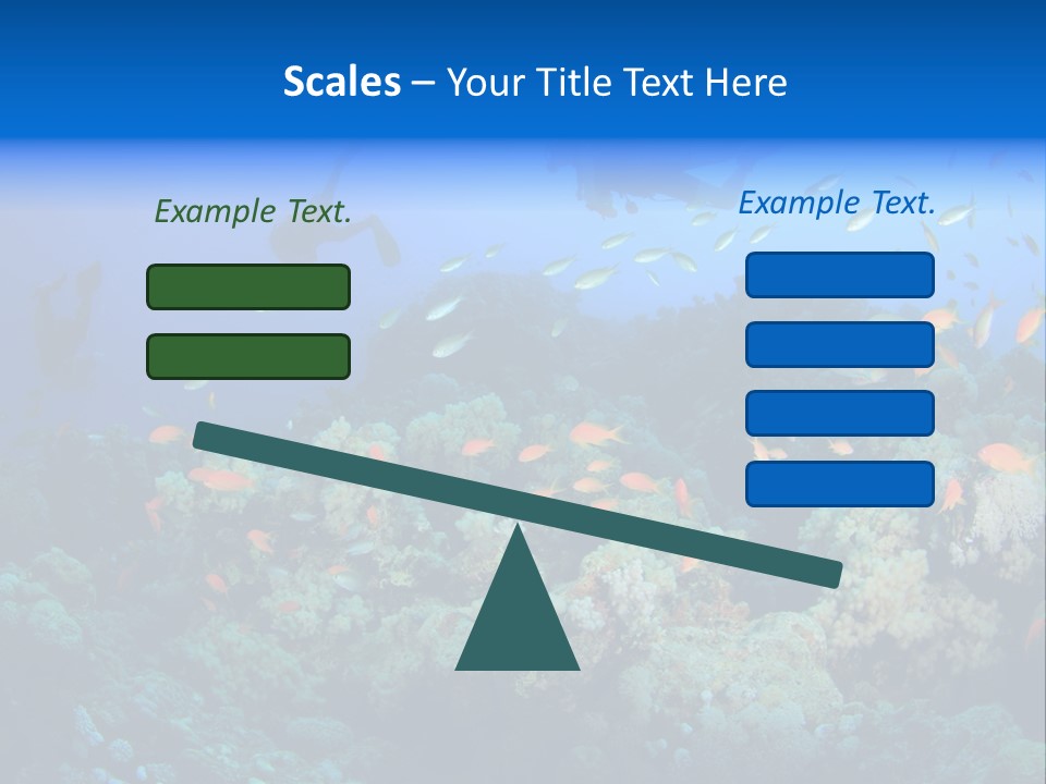 A Group Of People Swimming Over A Coral Reef PowerPoint Template