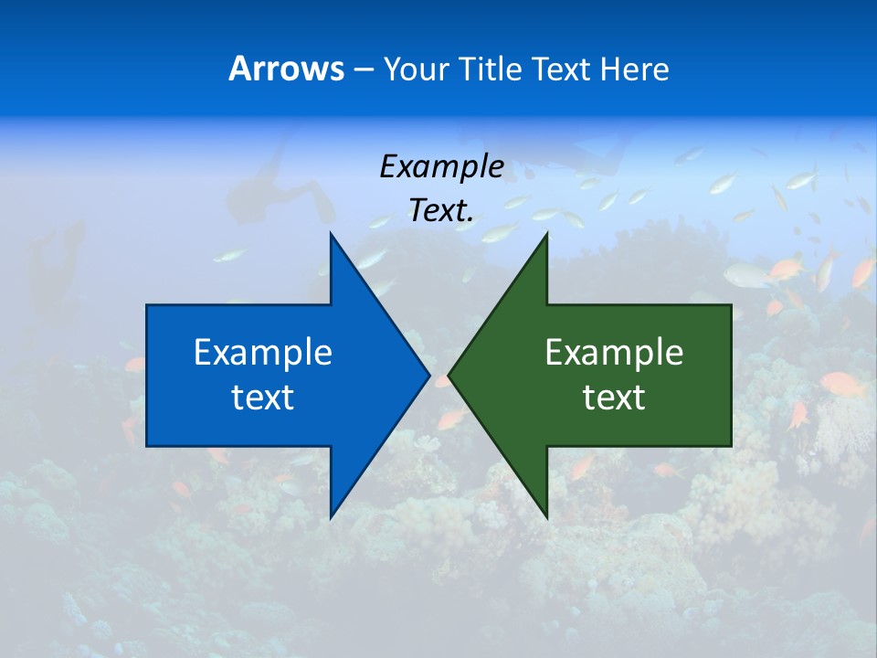 A Group Of People Swimming Over A Coral Reef PowerPoint Template