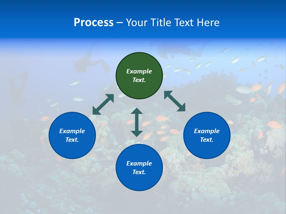 A Group Of People Swimming Over A Coral Reef PowerPoint Template
