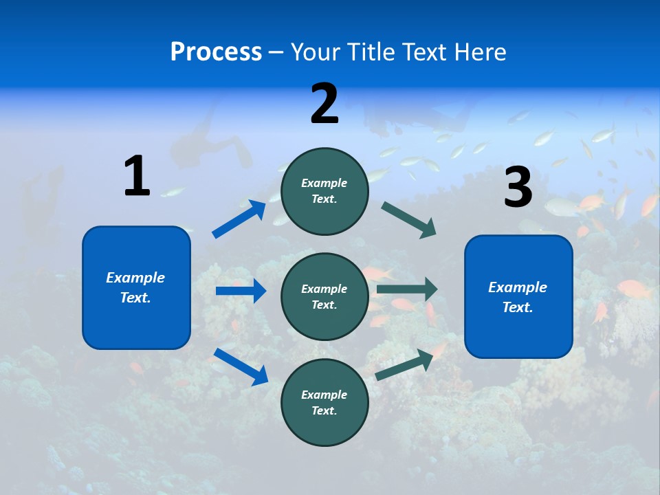 A Group Of People Swimming Over A Coral Reef PowerPoint Template