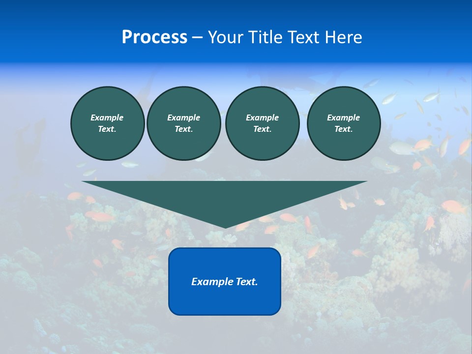 A Group Of People Swimming Over A Coral Reef PowerPoint Template