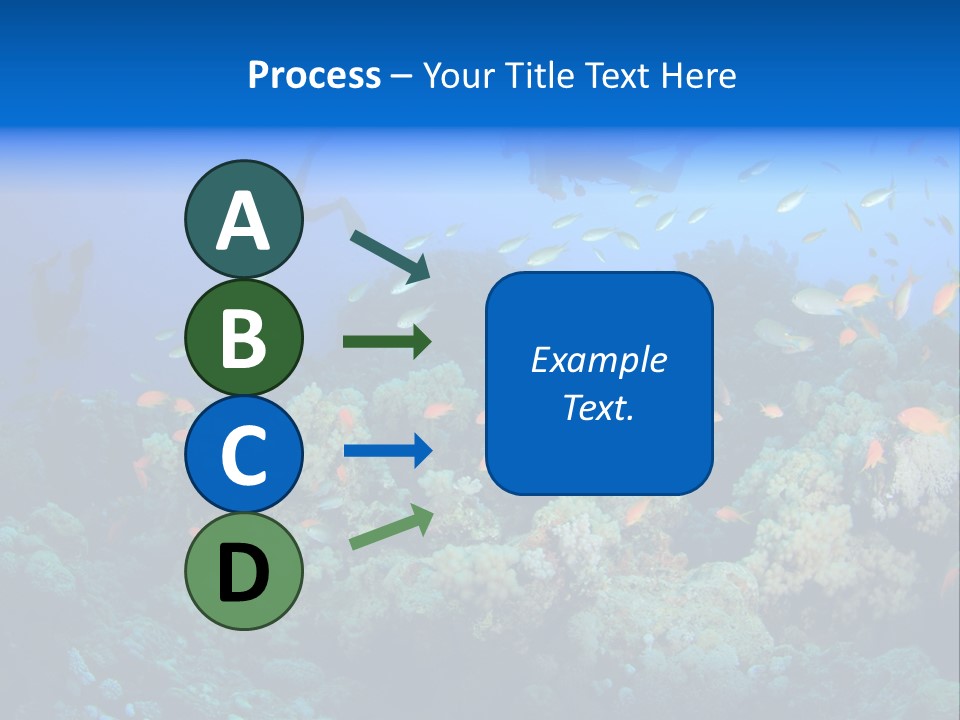 A Group Of People Swimming Over A Coral Reef PowerPoint Template