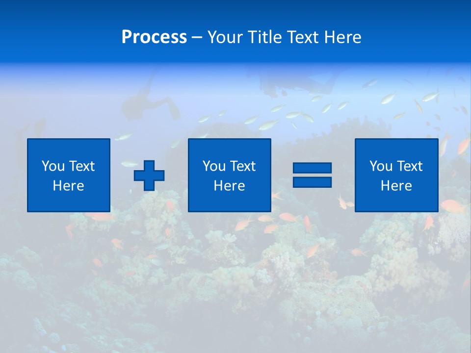 A Group Of People Swimming Over A Coral Reef PowerPoint Template