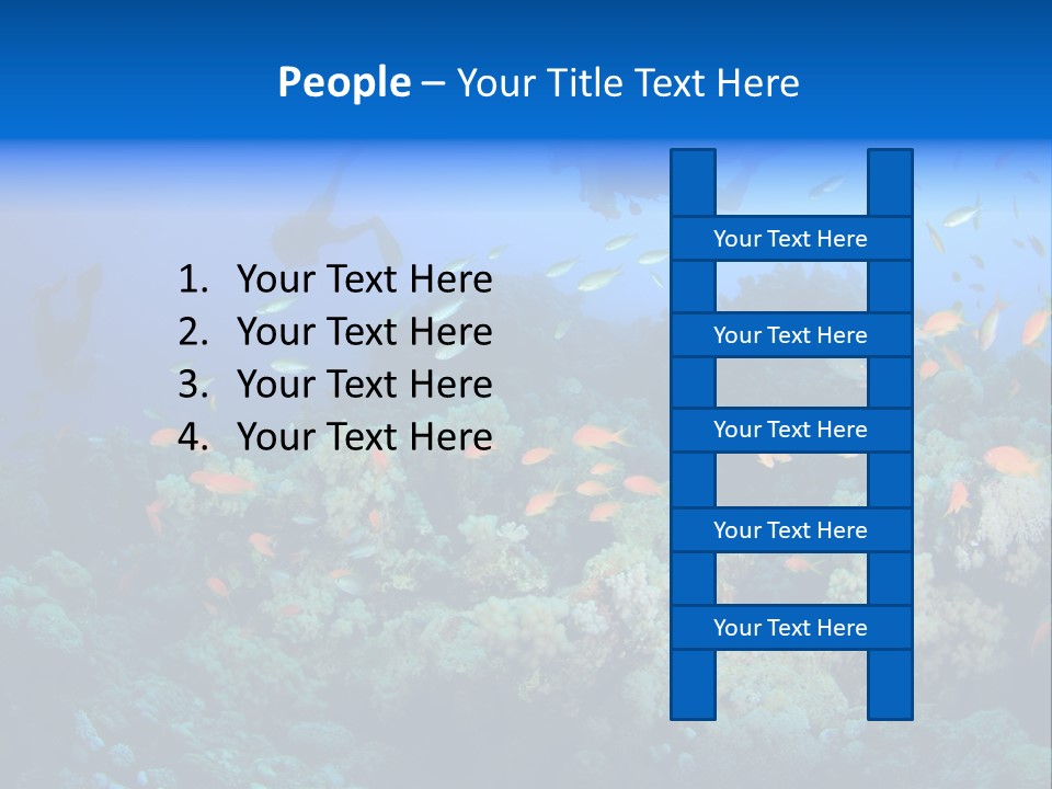 A Group Of People Swimming Over A Coral Reef PowerPoint Template
