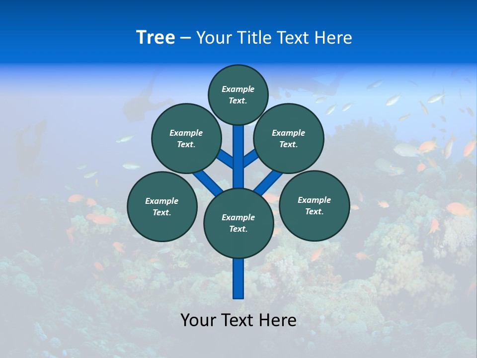 A Group Of People Swimming Over A Coral Reef PowerPoint Template